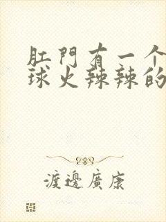 肛门有一个小肉球火辣辣的疼