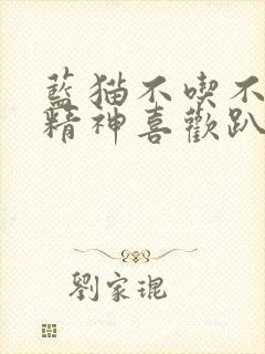 蓝猫不吃不喝没精神喜欢趴着