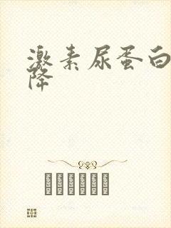 激素尿蛋白不下降