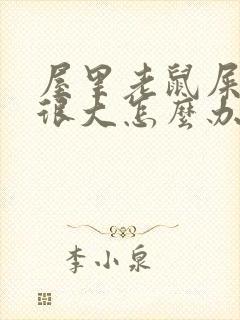 屋里老鼠屎尿味很大怎么办