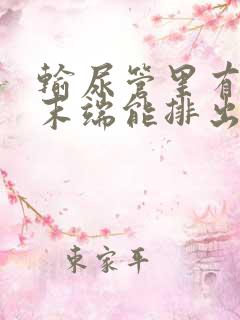 输尿管里有结石末端能排出来吗