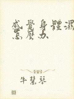 感觉身体湿气重怎么办