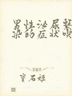 男性泌尿系统感染的症状吃什么药