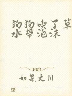 狗狗吃了草吐黄水带泡沫