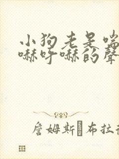 小狗老是喘气呼哧呼哧的声音怎么办