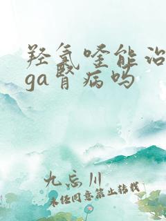 羟氯喹能治疗iga肾病吗