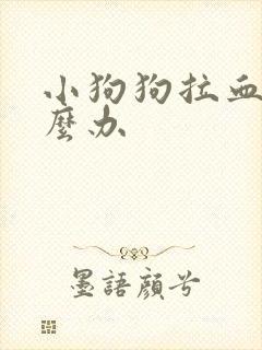 小狗狗拉血便怎么办