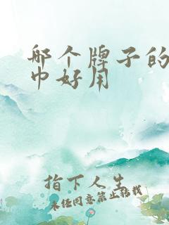 哪个牌子的湿纸巾好用