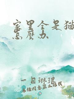 家里全是猫尿味怎么办