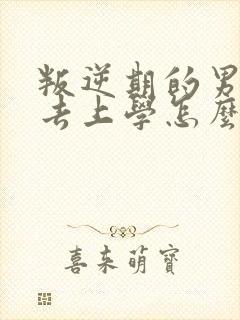 叛逆期的男孩不去上学怎么办