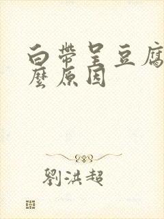 白带呈豆腐渣什么原因