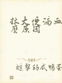 拉大便滴血是什么原因