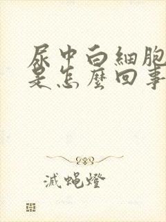 尿中白细胞阳性是怎么回事