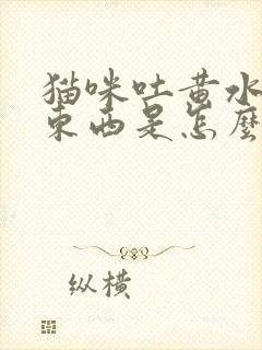 猫咪吐黄水不吃东西是怎么回事