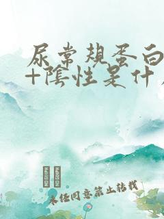 尿常规蛋白质3+阴性是什么意思