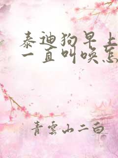 泰迪狗早上5点一直叫唤怎么办