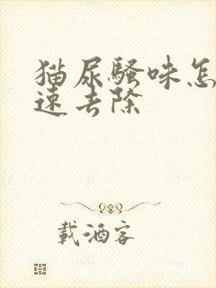 猫尿骚味怎么快速去除