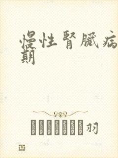 慢性肾脏病第5期
