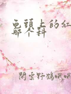 龟头上的红斑挂哪个科