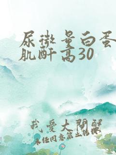 尿微量白蛋白/肌酐高30