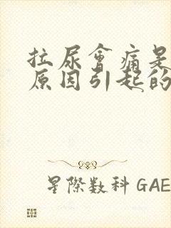 拉尿会痛是什么原因引起的