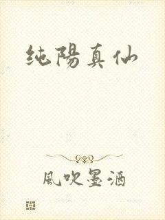 纯阳真仙