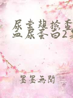 尿常规检查尿潜血尿蛋白2是什么意思