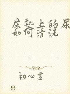 床垫上的尿渍要如何清洗