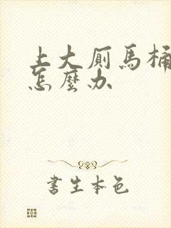 上大厕马桶堵了怎么办