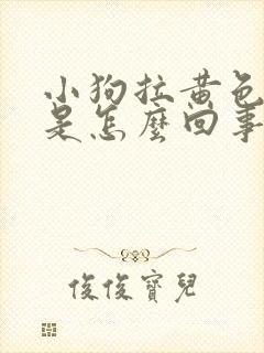 小狗拉黄色的尿是怎么回事