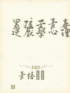 男孩子青春期叛逆厌学心理辅导家长书籍