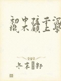 初中孩子沉迷手机不愿上学