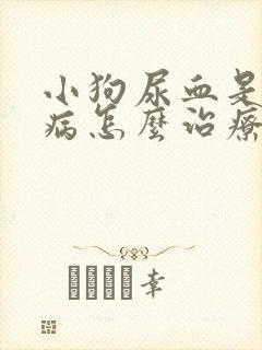 小狗尿血是什么病怎么治疗