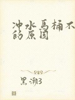 冲水马桶不下水的原因