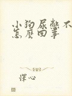 小狗尿憋不住是怎么回事