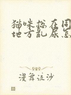 猫咪总在同一个地方乱尿怎么办