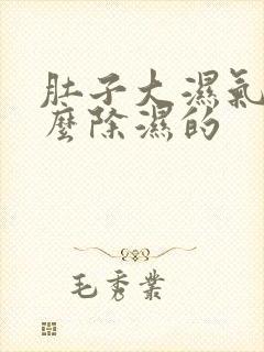 肚子大湿气重怎么除湿的