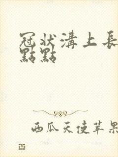 冠状沟上长菜花点点