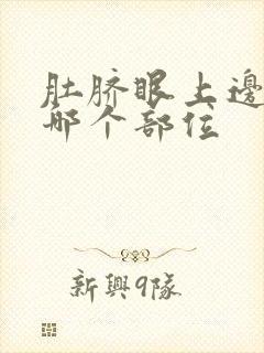 肚脐眼上边疼是哪个部位