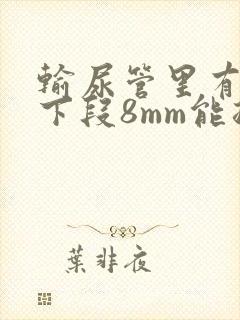 输尿管里有结石下段8mm能排出吗