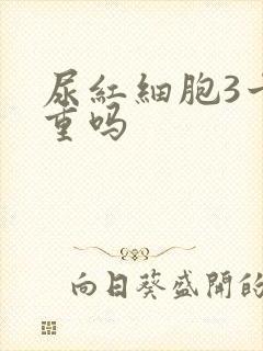 尿红细胞3十严重吗