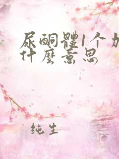 尿酮体1个加号什么意思