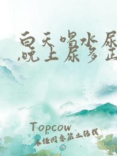 白天喝水尿不多,晚上尿多正常吗