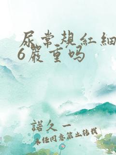 尿常规红细胞26严重吗