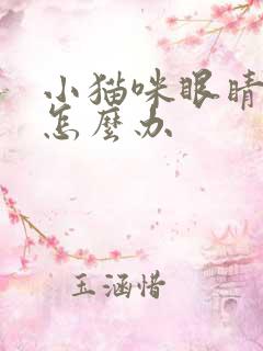 小猫咪眼睛流脓怎么办