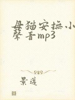 母猫安抚小猫的声音mp3