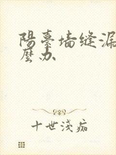 阳台墙缝漏水怎么办