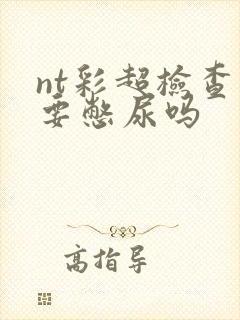 nt彩超检查需要憋尿吗