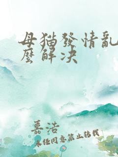 母猫发情乱尿怎么解决