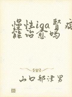 慢性iga肾病能治愈吗